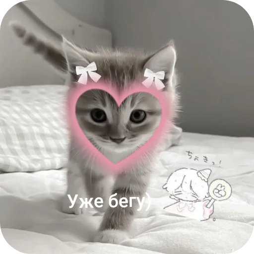 Эмодзи Милые котики