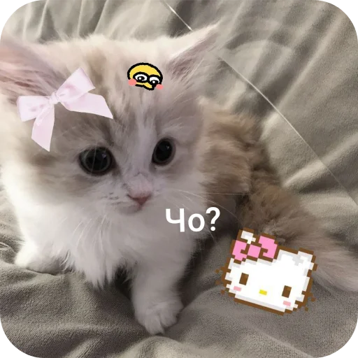 Эмодзи Милые котики