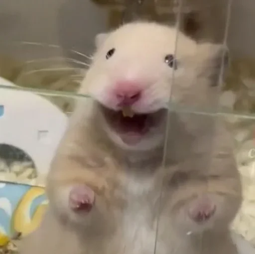 Эмодзи Мышастые