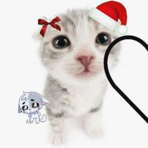 Эмодзи нг котики