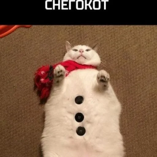 Эмодзи нг котики