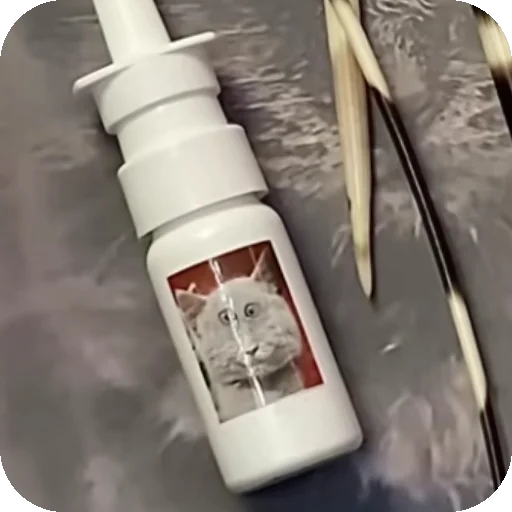 Эмодзи Серый котик