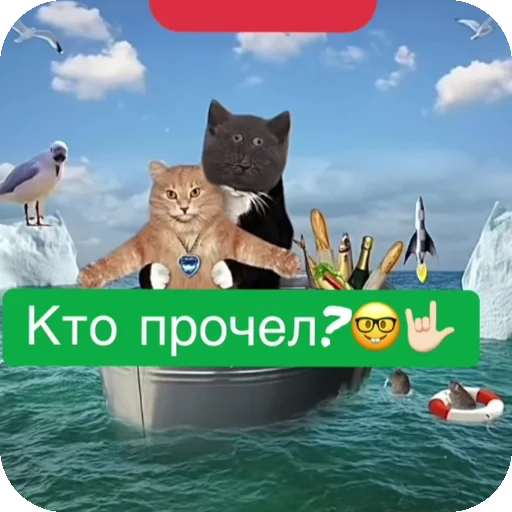 Эмодзи Серый котик