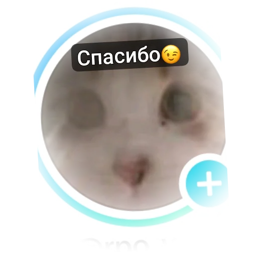Эмодзи котики