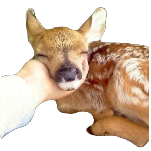 ❤