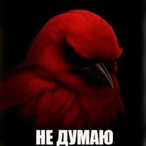 Эмодзи Birds Memes
