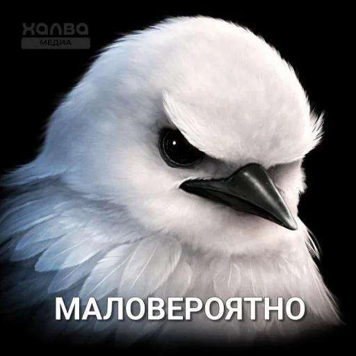 Эмодзи Birds Memes