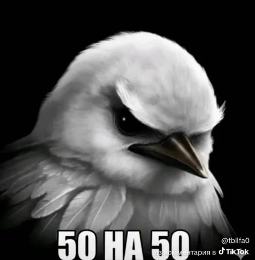 Эмодзи Birds Memes