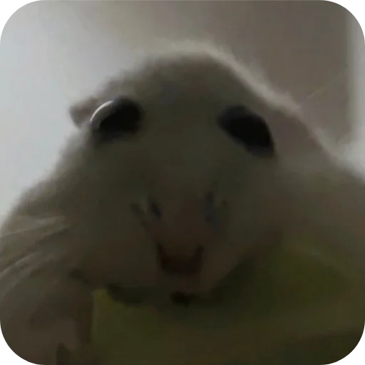 Эмодзи Хомячки