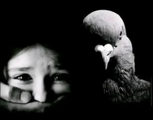 Эмодзи голубь png