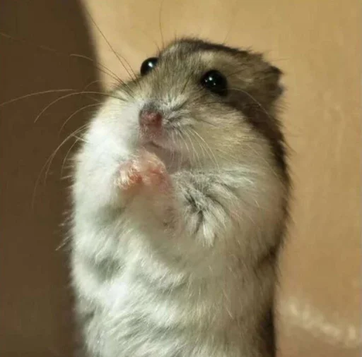 Эмодзи хома