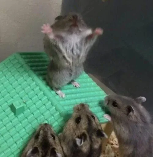 Эмодзи хома