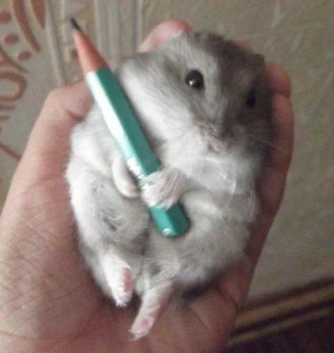 Эмодзи хома