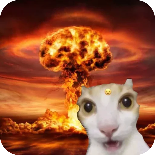 Эмодзи Котики