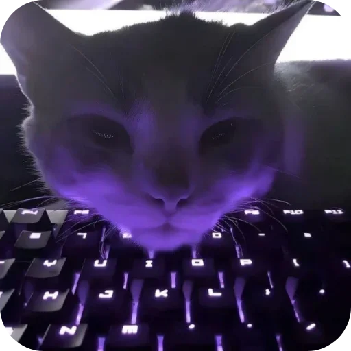 Эмодзи Котики