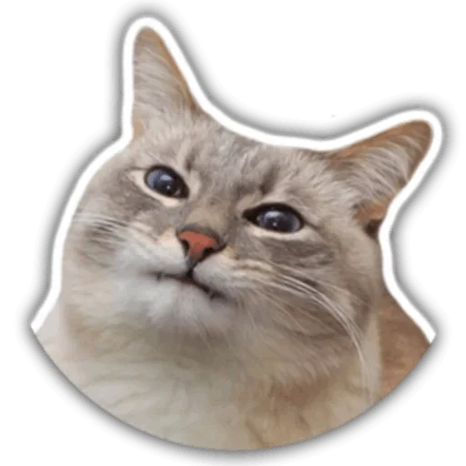?
