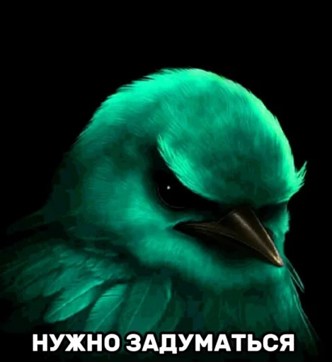 Эмодзи Птички гусь гей 🐦