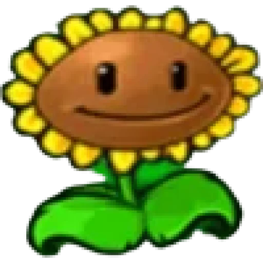 🌻