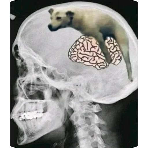 Эмодзи delete this app