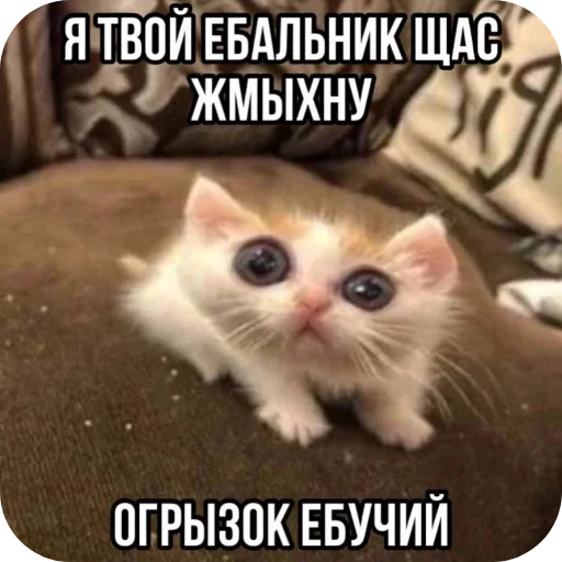 Эмодзи Больше стиков тут: