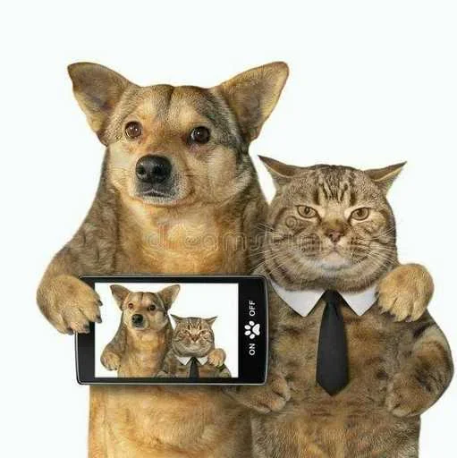 Эмодзи Котики