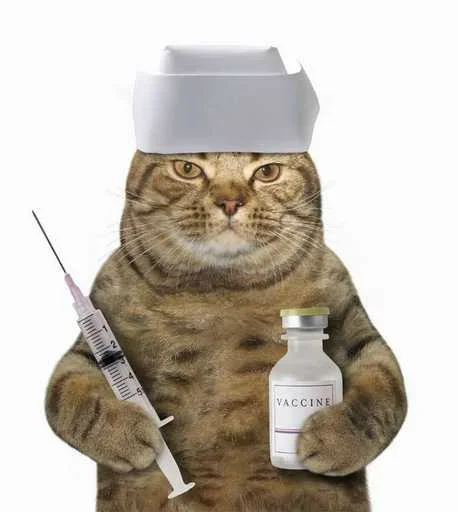 Эмодзи Котики