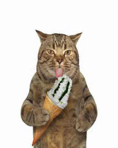 Эмодзи Котики